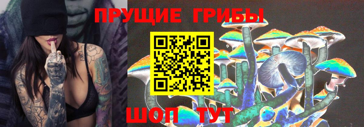 Ногинск  Галлюциногенные грибы прущие грибы  Вход с VPN 